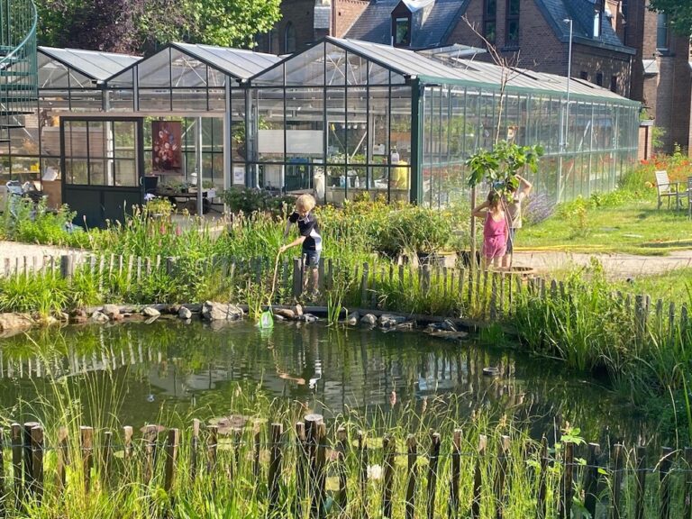 Hoe is het nu met …. ? Ecologische stadstuin Oud-Zuid Venlo