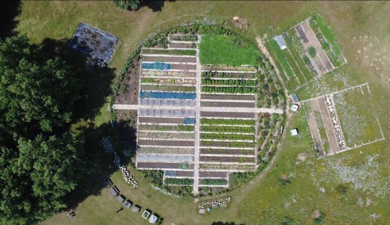Succesvol tuinseizoen Stadstuinderij