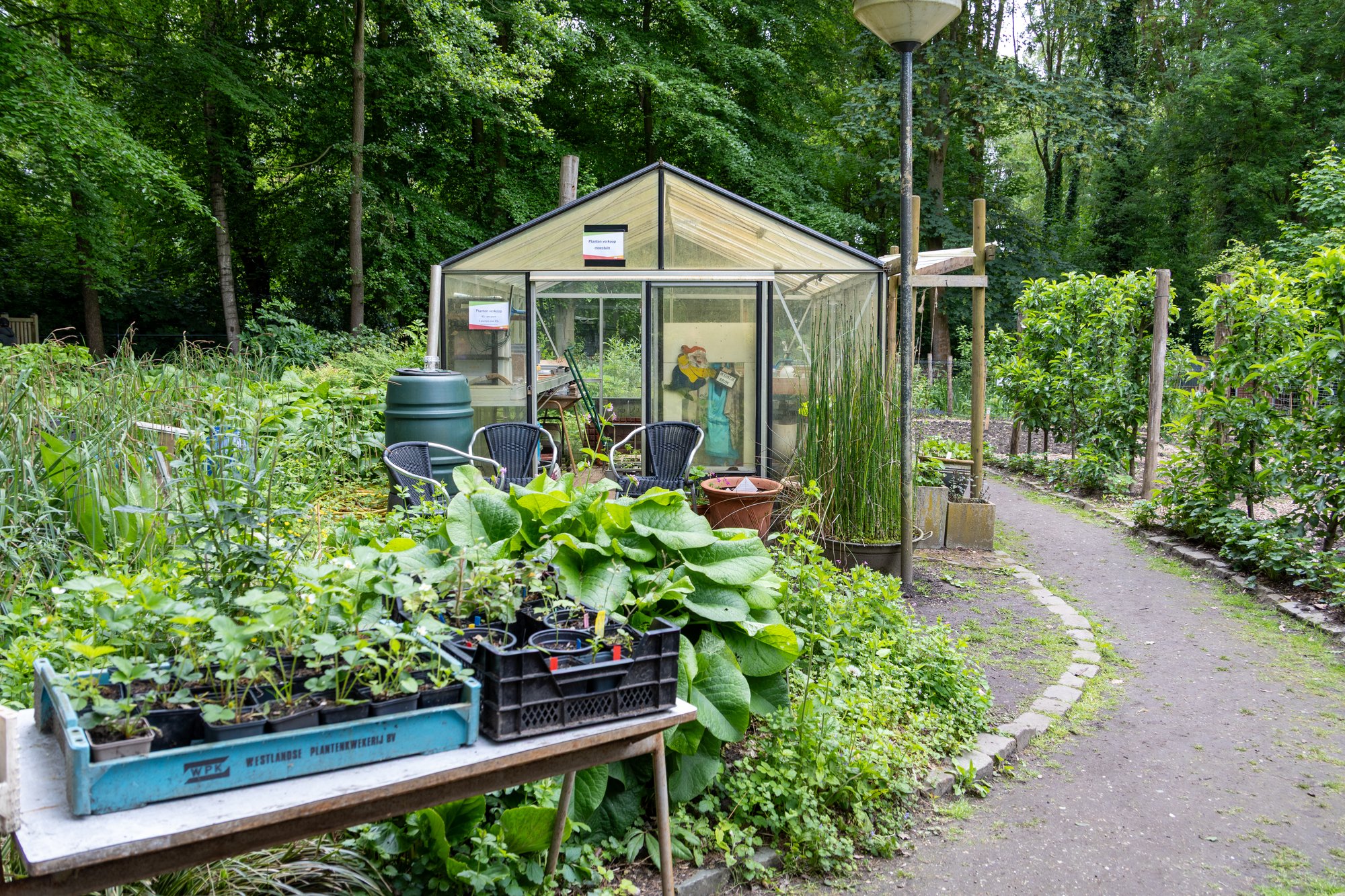 De kas met opgekweekte plantjes in de moestuin van kinderboerderij Hagerhof