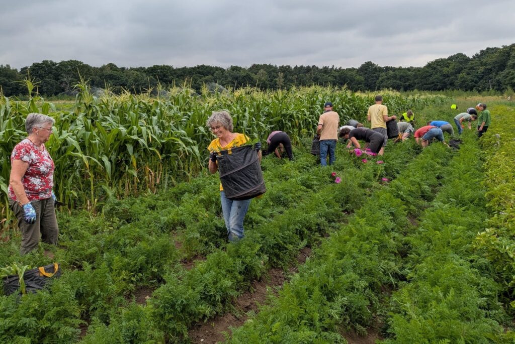 Leden van Herenboeren Ulingshof aan het werk op het land