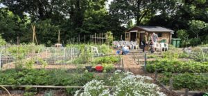 Buurtmoestuin ’t Veldje