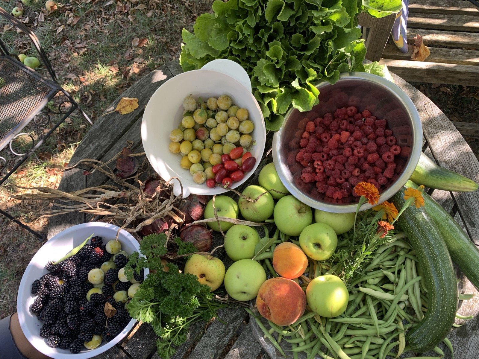 Oogst van De Ventuin: bessen, frambozen, appels, perziken, bonen en sla