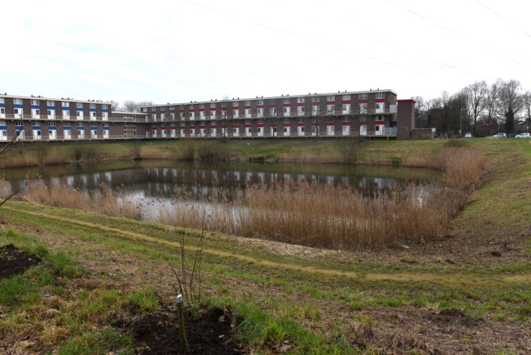 Hoe is het nu met …. ? Voedseltuin ‘Zilvermeer’ in Blerick